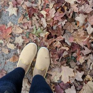 Allbirds Loungers WOOL